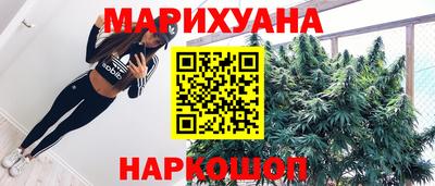 сатива Краснокаменск