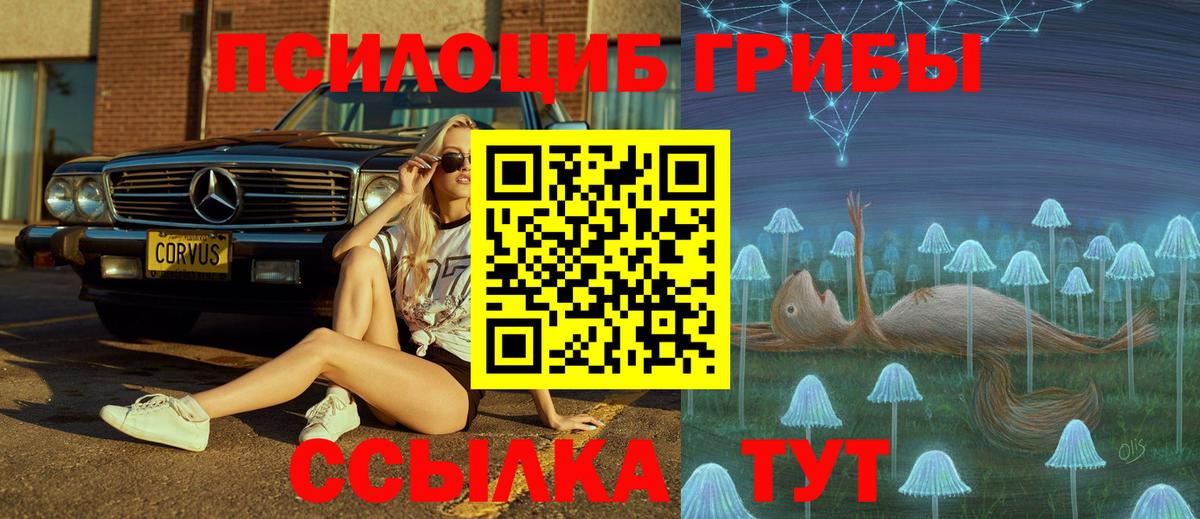 купить наркотики цена  Вход с VPN  Кострома  Псилоцибиновые грибы Psilocybine cubensis 